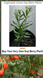 Mobile Screenshot of organicgojiberryplants.com