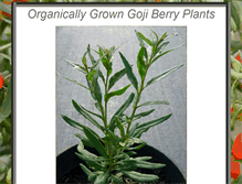 Tablet Screenshot of organicgojiberryplants.com